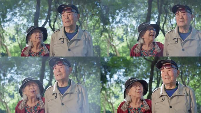 老人幸福的老年夫妇在公园里散步