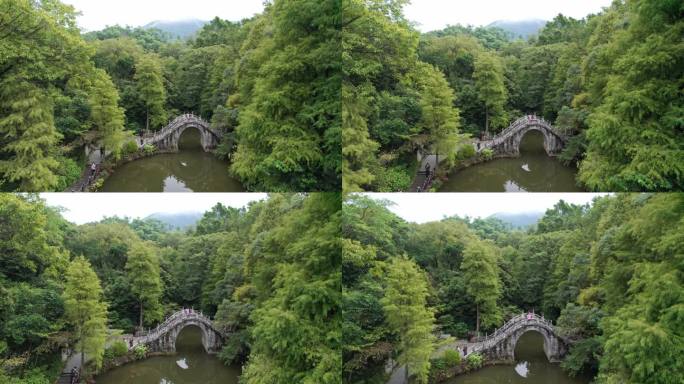 4K深圳仙湖植物园