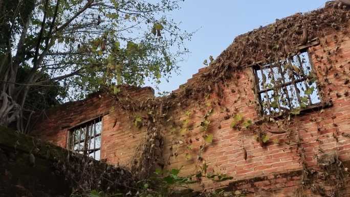 老房子视频素材 断墙老房子 崩塌的老屋