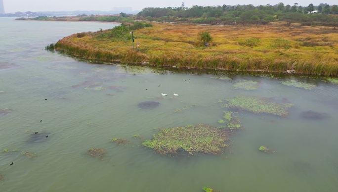 航拍星沙松雅湖湿地公园2