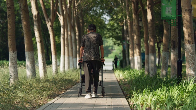 老人老年人推轮椅在公园散步