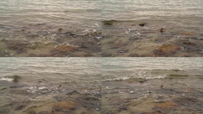 海边海浪卷起小浪花