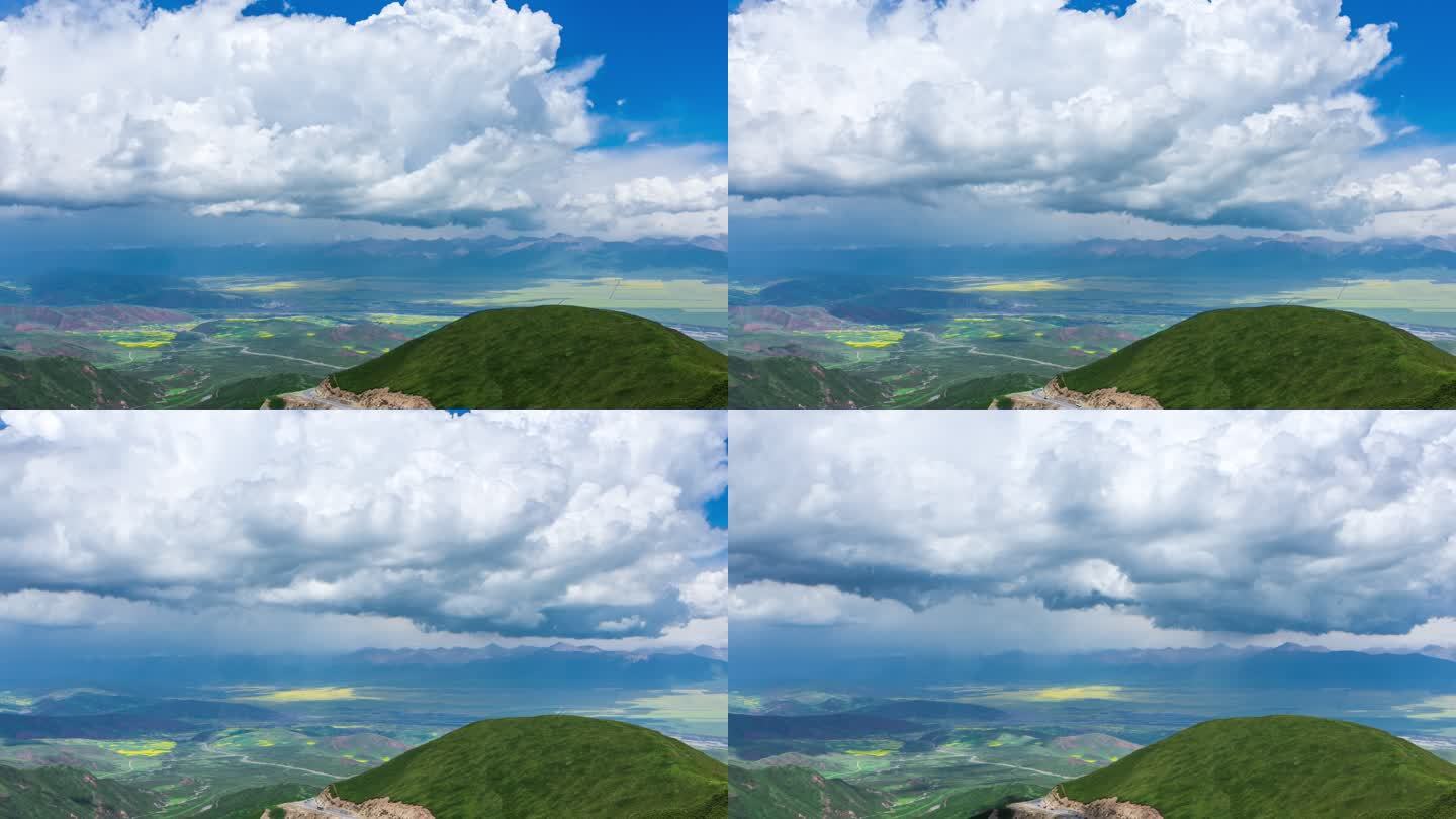 青海门源油菜花花海延时摄影