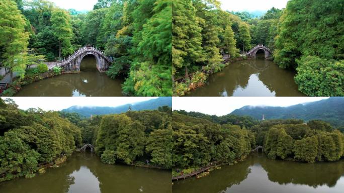 4K深圳仙湖植物园