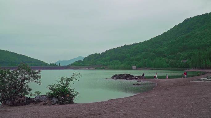 游湖 湖面波光粼粼 绿色 植物