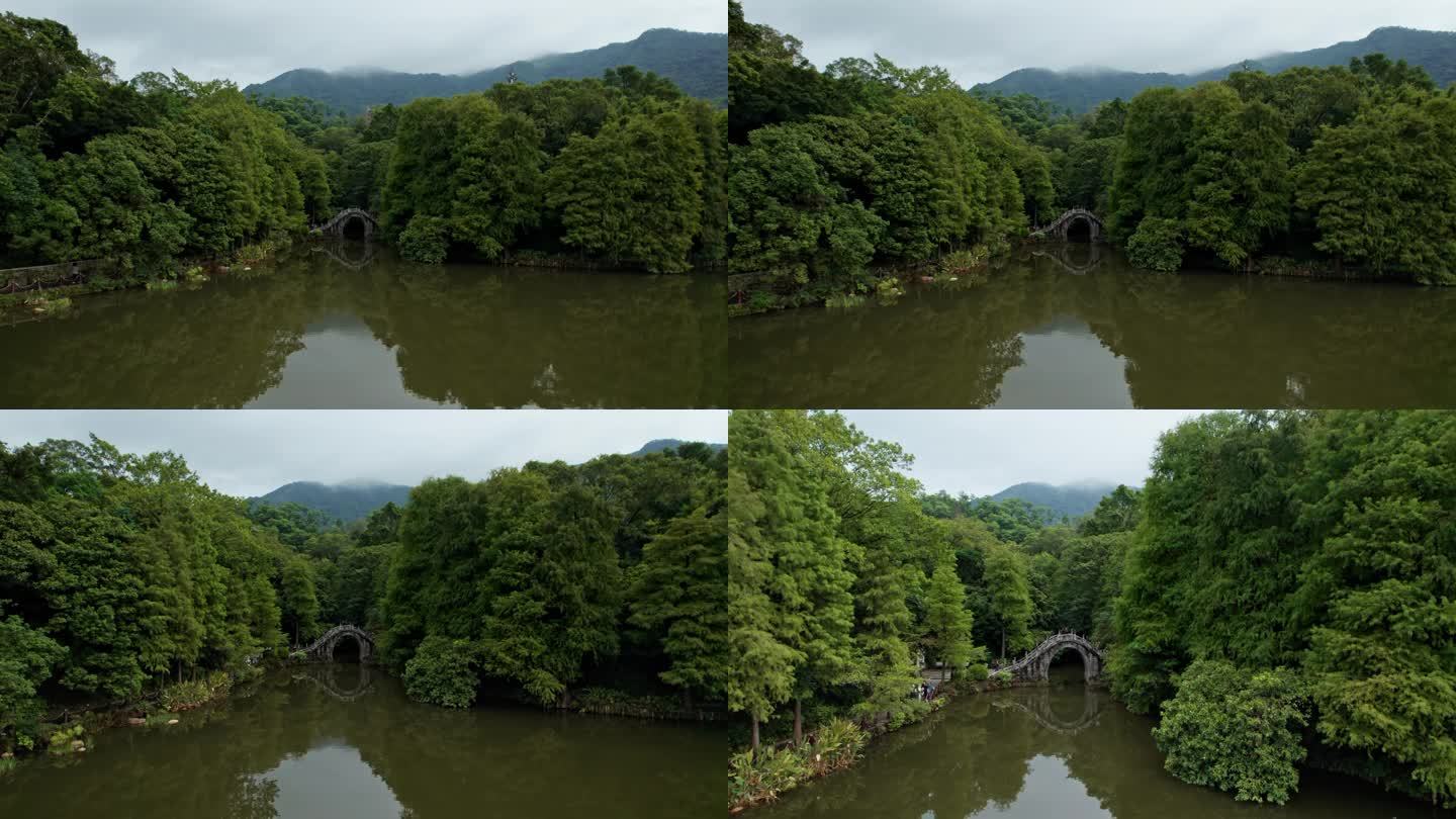 4K深圳仙湖植物园