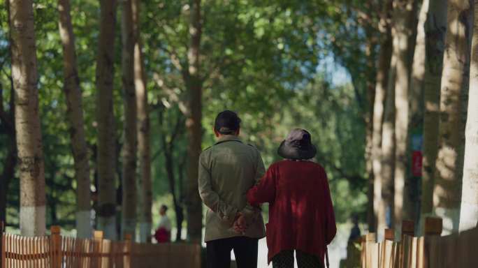老人老年夫妇在公园里散步的背影