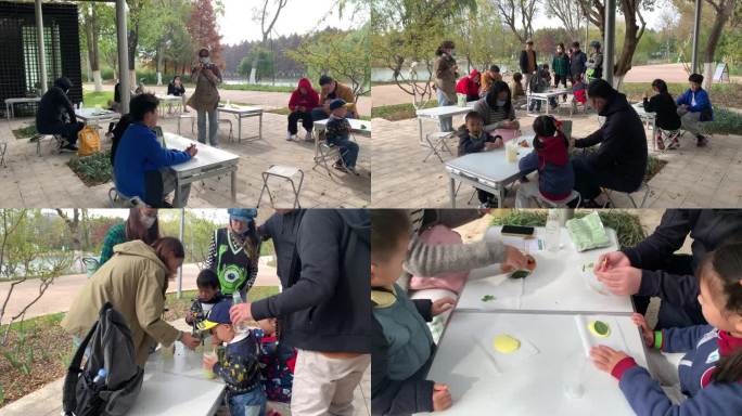 城市小学生农场体验农业科普