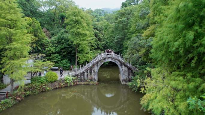 4K深圳仙湖植物园