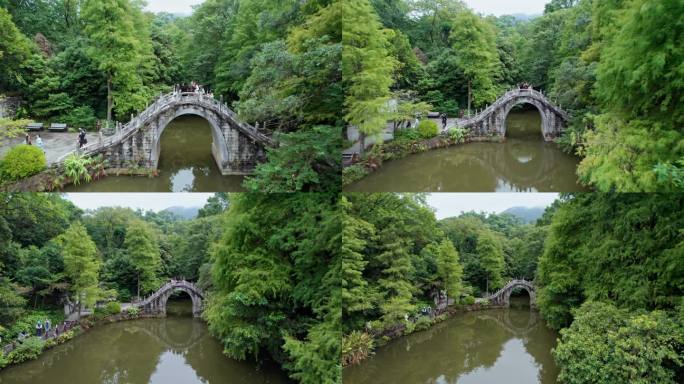 4K深圳仙湖植物园