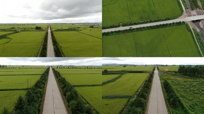 乡间小路田间道路