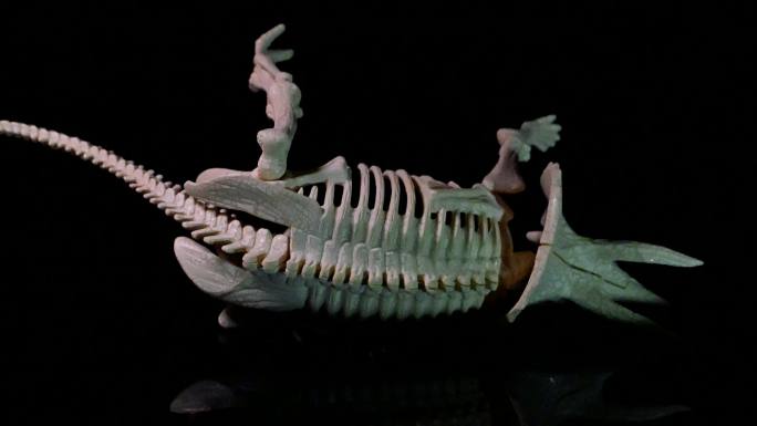 恐龙化石出土过程科教片实拍素材