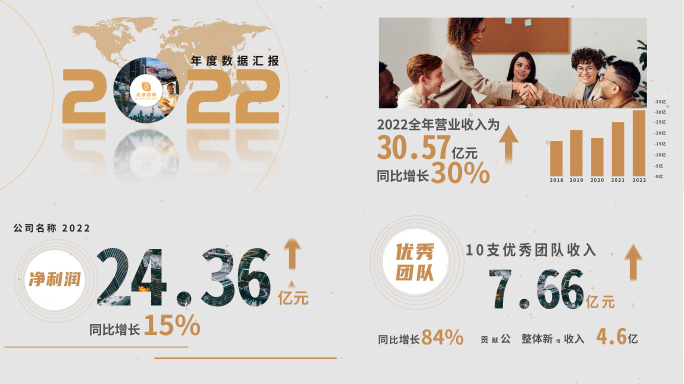 年会数据报告 企业年报工作汇报