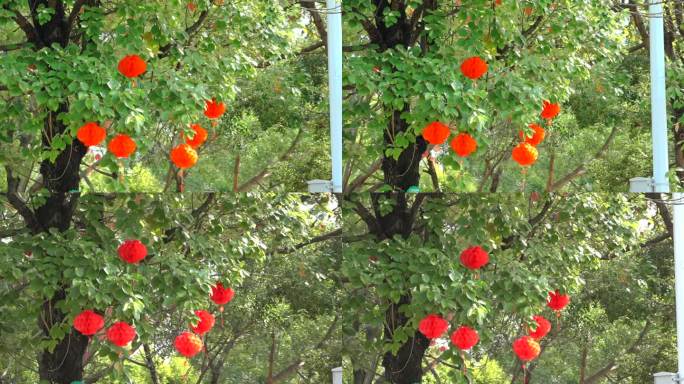 树上的小红灯笼喜庆挂饰