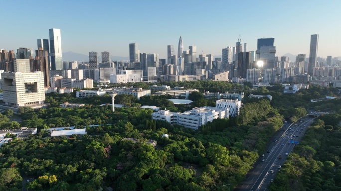 深圳大学航拍 南山高楼 荔香公园