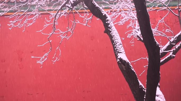 红墙冬雪实拍镜头