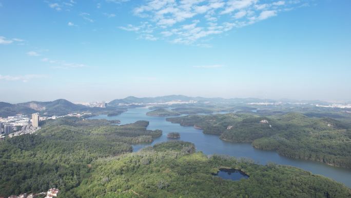 【正版素材】深圳铁岗水库