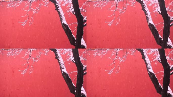 红墙背景下雪的场景镜头