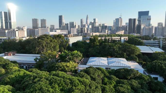 深圳大学航拍 南山高楼 荔香公园