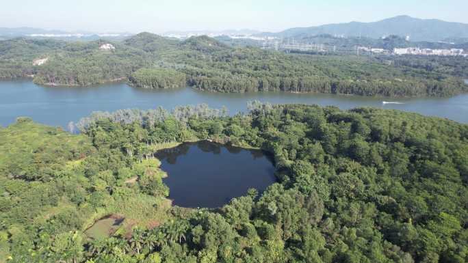 【正版素材】深圳铁岗水库