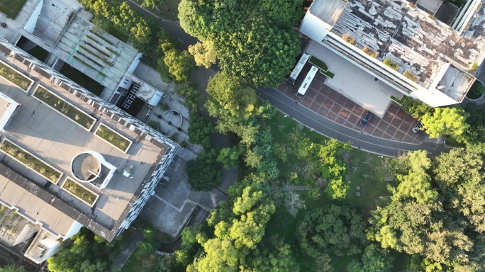 深圳大学航拍 南山高楼 荔香公园