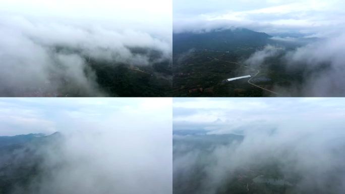 云雾缭绕的山林