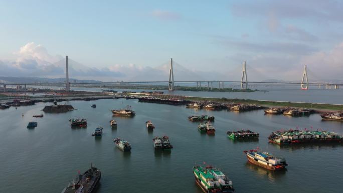 珠海洪湾渔港洪鹤大桥航拍