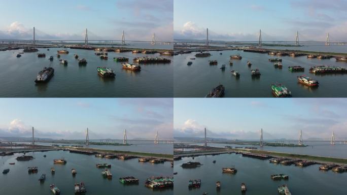珠海洪湾渔港洪鹤大桥航拍