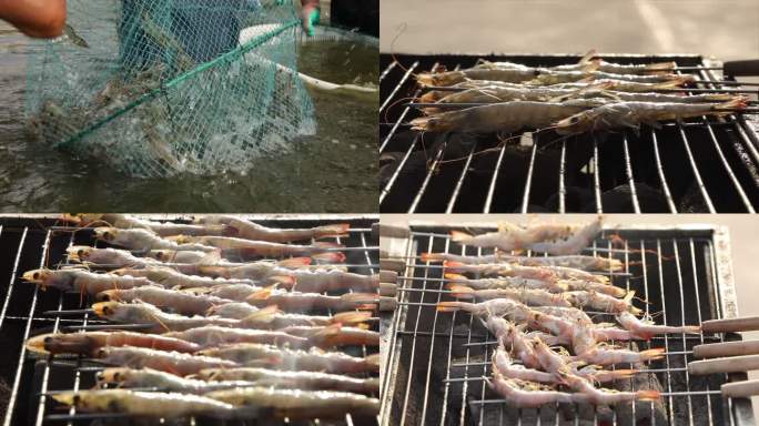 养殖海鲜大虾虾子捕捞A007