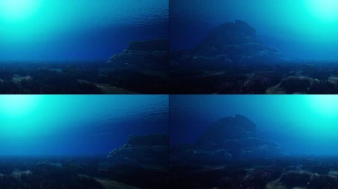 4K宽屏海底世界素材