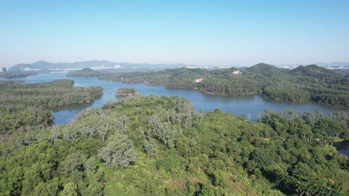 【正版素材】深圳铁岗水库