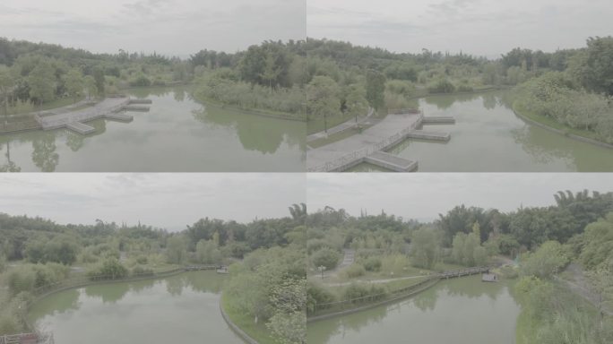 青神县竹林湿地4K航拍(log未调色)