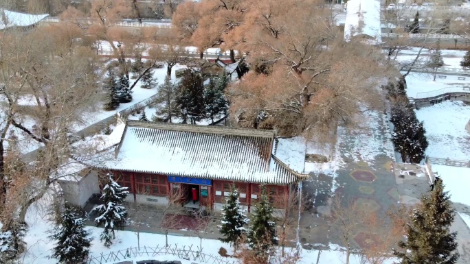 城市雪景