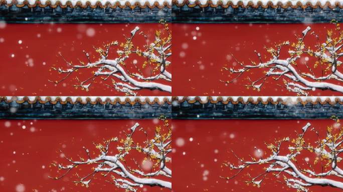 冬至腊梅花雪景手绘背景