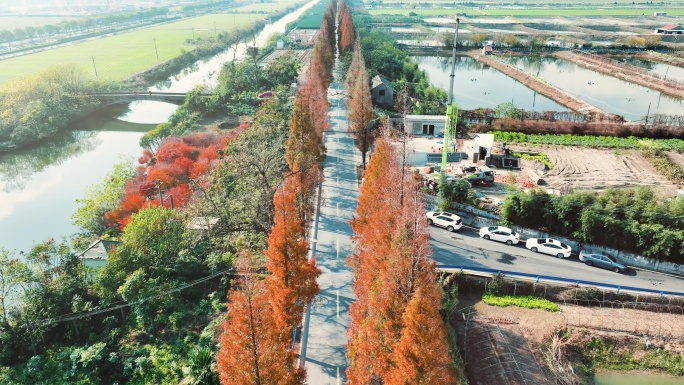 杭州钱塘区观十五线秋景航拍