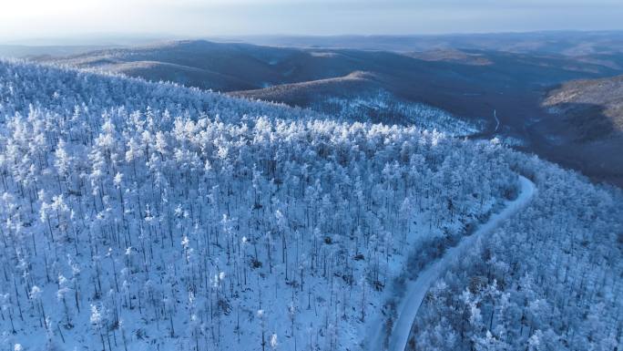 航拍林海雪原雪路风景