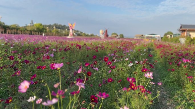 苏州西山花海