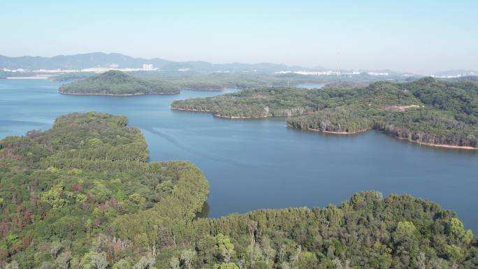 【正版素材】深圳铁岗水库