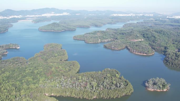 【正版素材】深圳铁岗水库