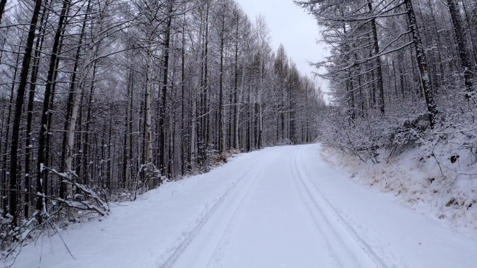 行驶在林海雪原的雪路上