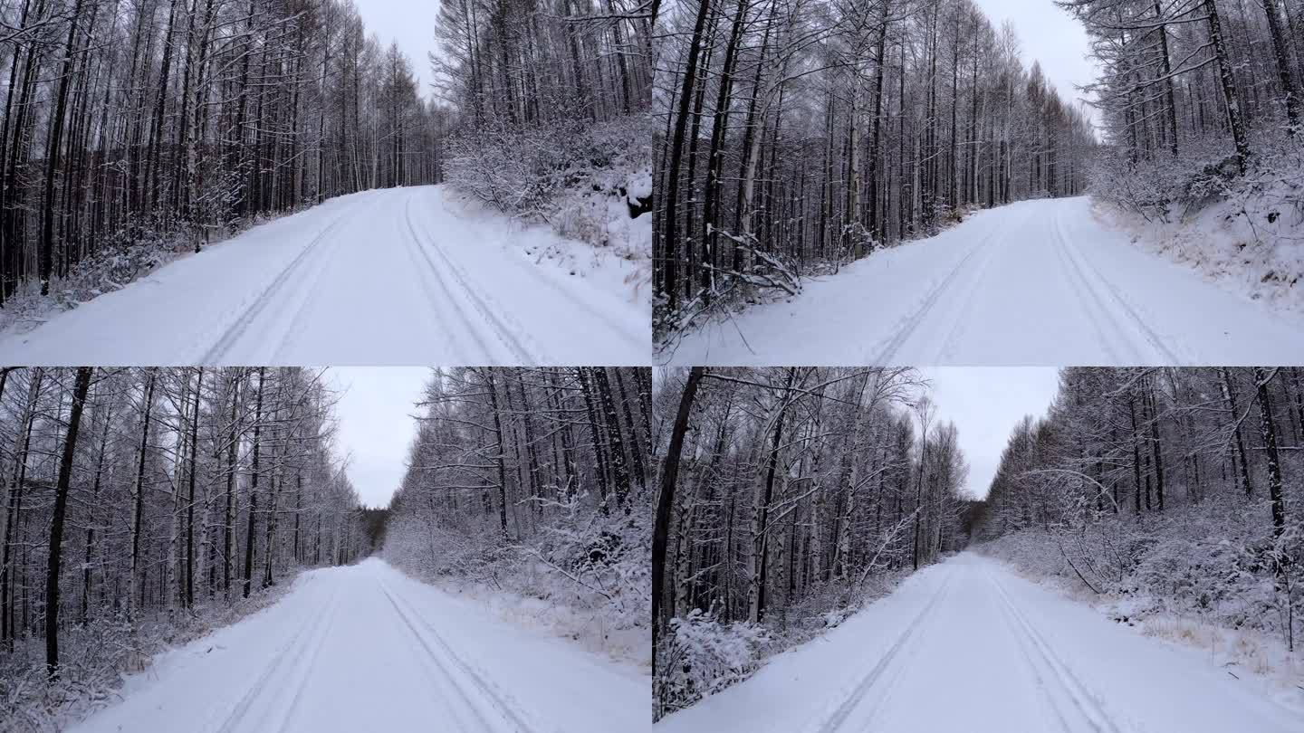 行驶在林海雪原的雪路上
