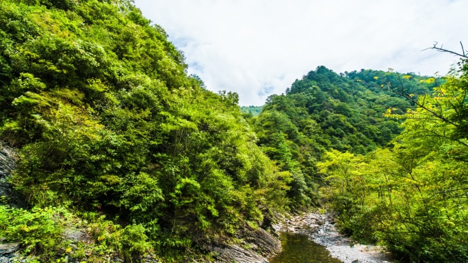 陕西安康市岚皋县千层河