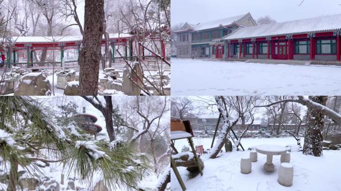 北京醇亲王府雪景