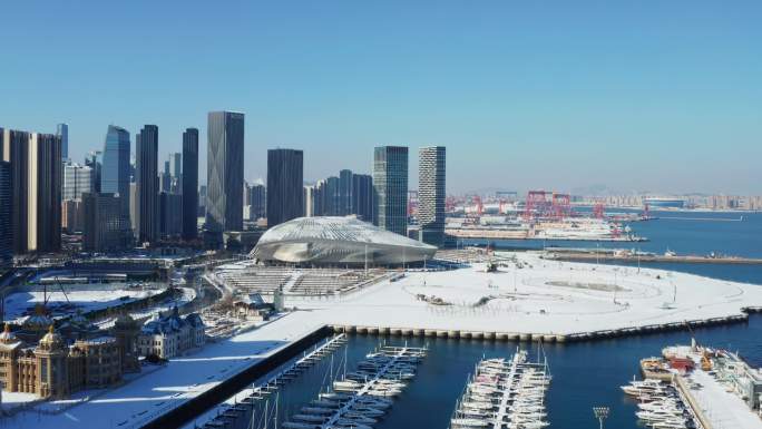 大连国际会议中心雪景航拍