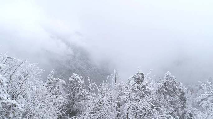 冬季山林雪景迷雾