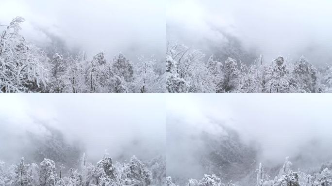 冬季山林雪景迷雾