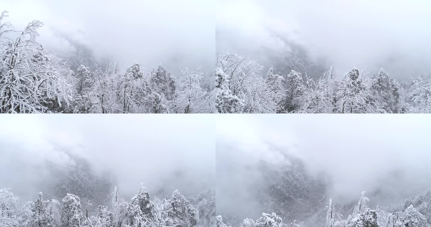 冬季山林雪景迷雾