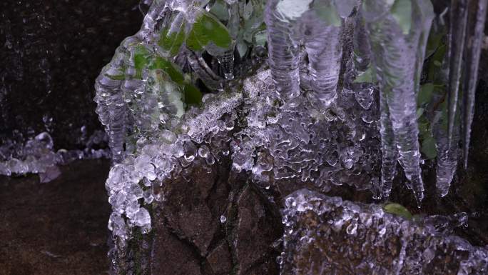 冬天溪水山泉冰凌冰冻冰挂春天融化滴水实拍