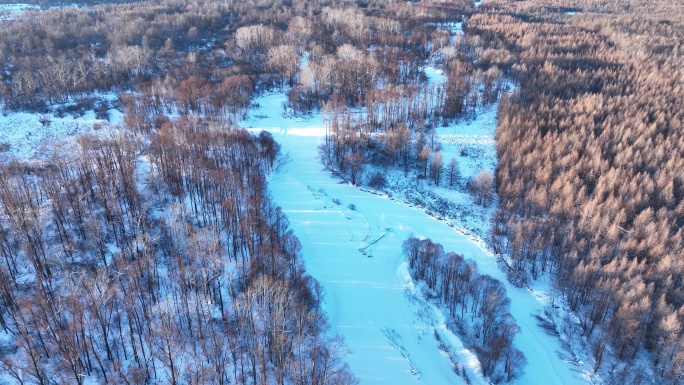 航拍冬季雪原冰河密林