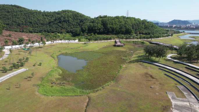 【正版素材】深圳光明区荔湖公园